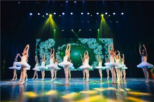 歌唱祖國 童心飛揚——少兒文藝演出圓滿落幕